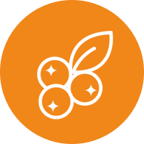 alimentazione per ridurre girovita