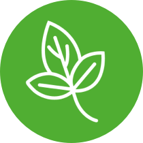 alimentazione insonnia