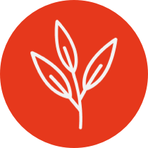 alimentazione per la menopausa